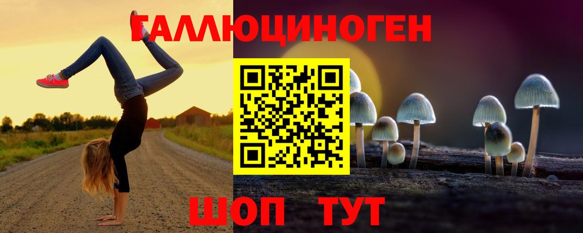 Лесосибирск  Галлюциногенные грибы мицелий  Вход с VPN 